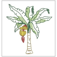 Plf086 - Banana tree